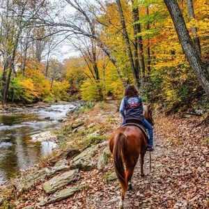 Meet your Posher, Jeanie